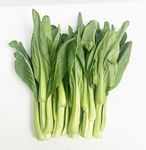 菜心
