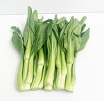 菜心