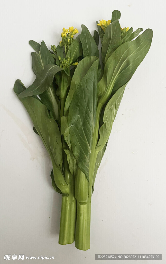 菜心