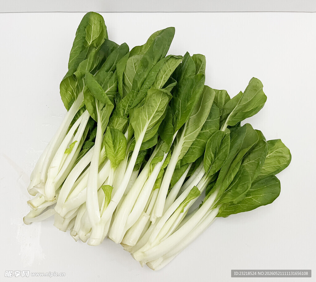 小白菜
