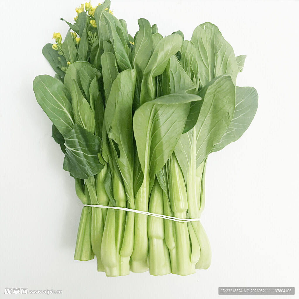 菜心