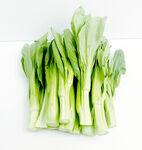 菜心