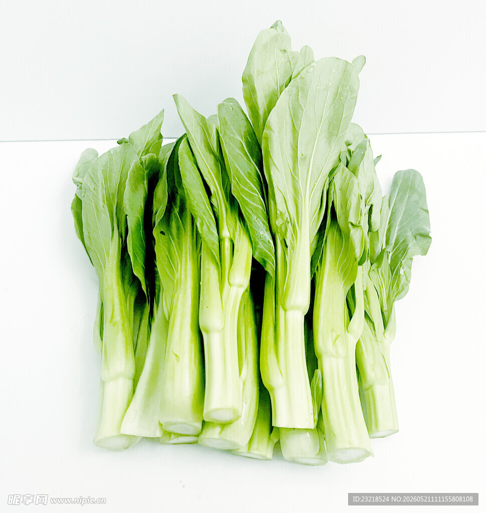 菜心