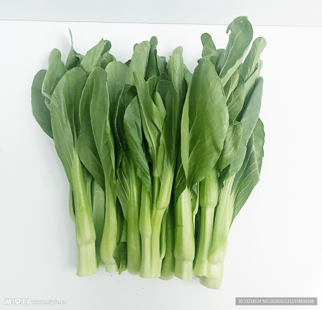 菜心