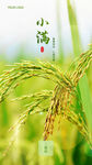 小满海报