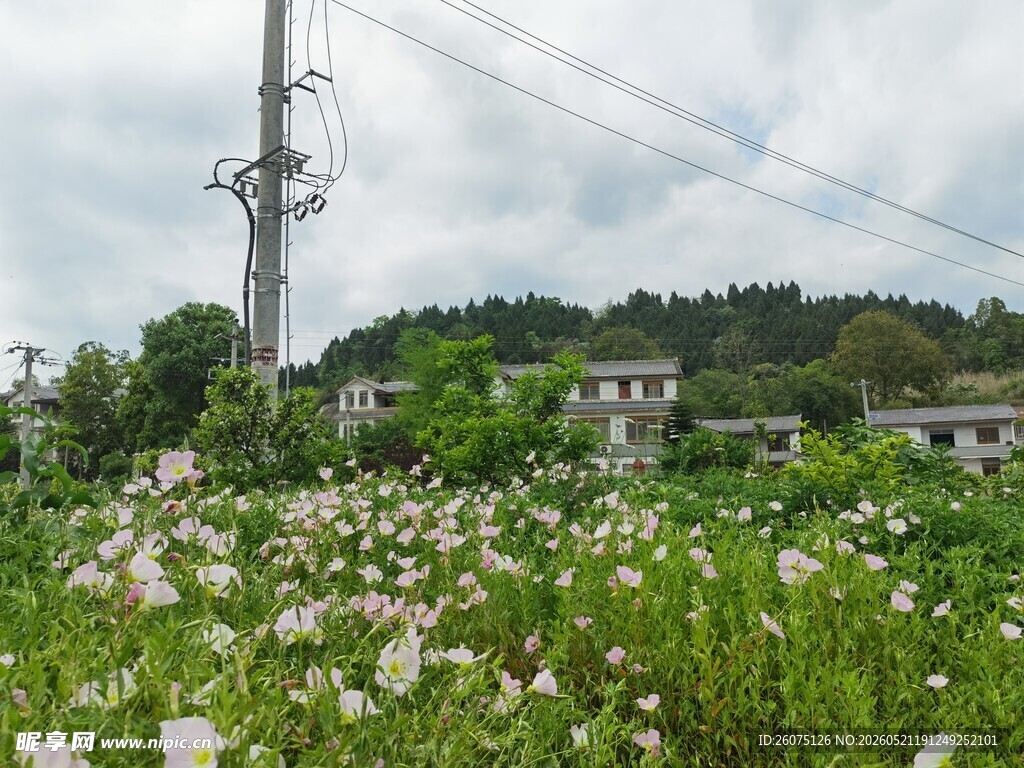 乡村田野间的自然景致
