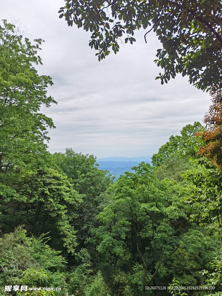 山林绿意远眺蓝天景色
