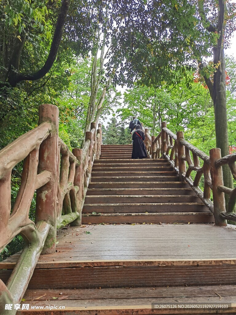 林间木阶漫步清幽小径