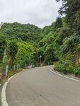蜿蜒山间公路绿意环绕