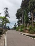 乡村公路风景