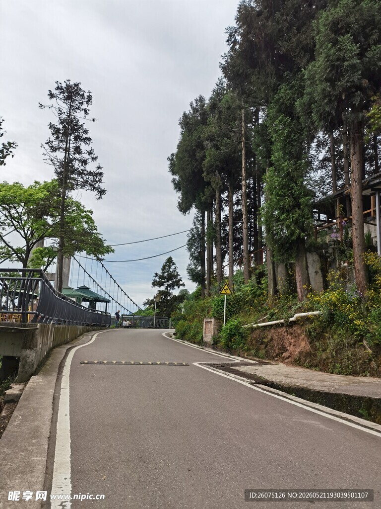 乡村公路风景