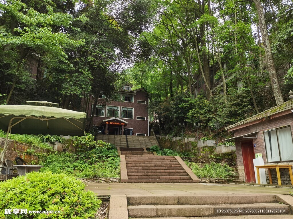 山林间的木质阶梯小屋