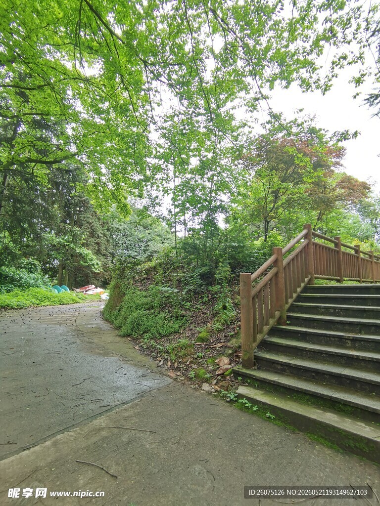 林间石阶小道静谧自然