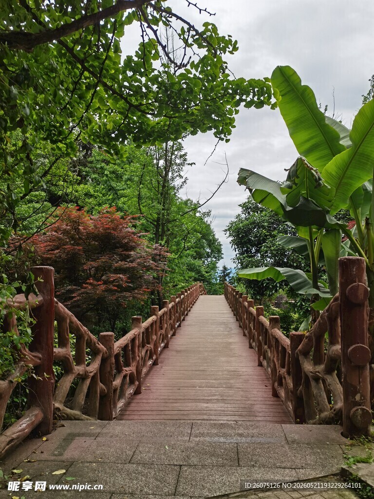 山林间的木质步道