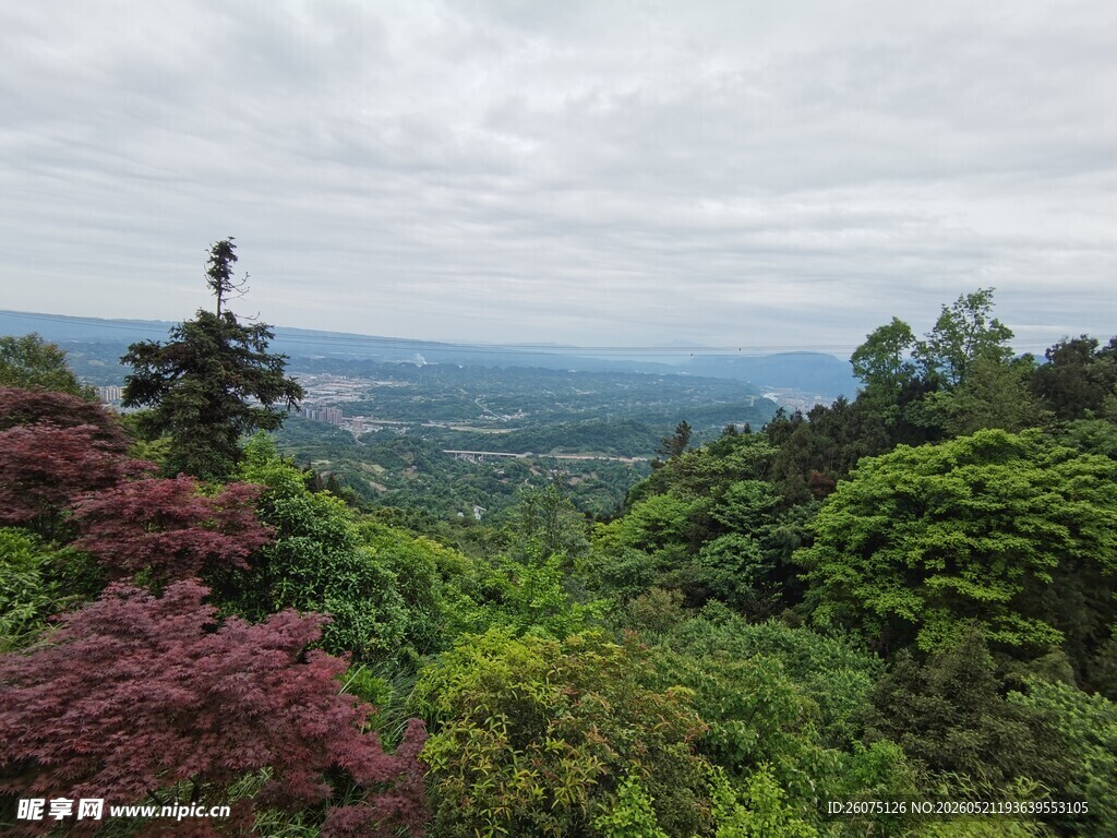 山林景致远眺广阔风景