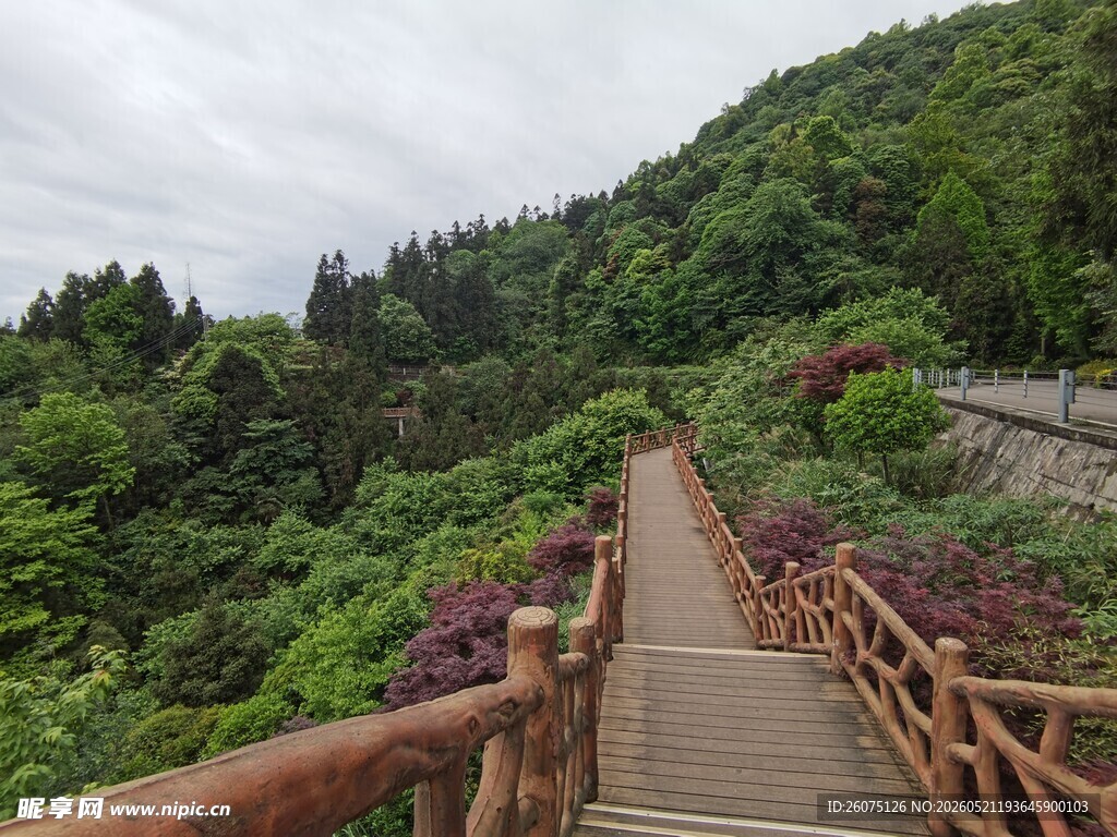 山间木栈道漫步自然间