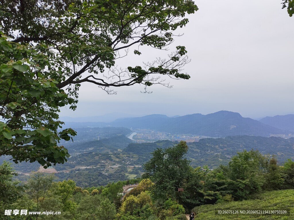 山间绿野美景