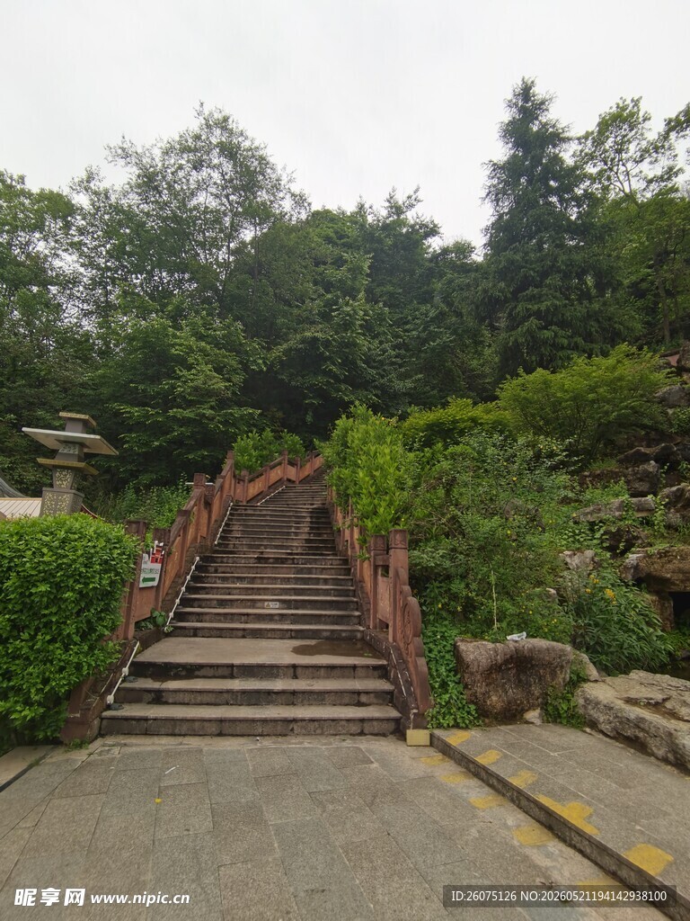 山间石阶绿意环绕的步道