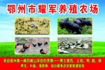 养殖农场
