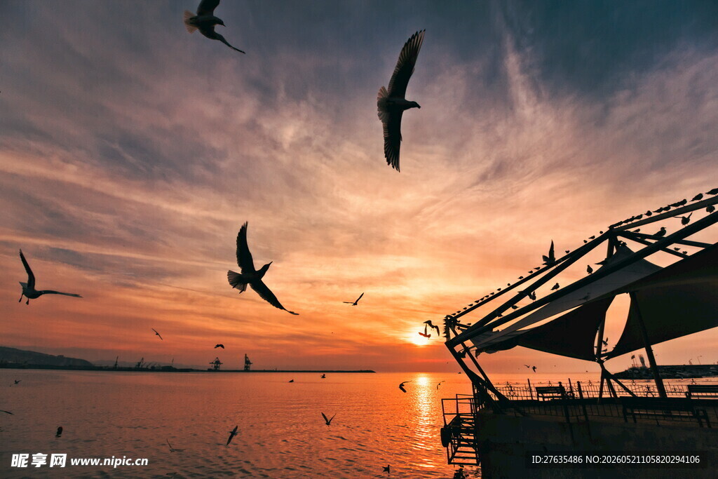 夕阳下飞鸟与栈桥美景