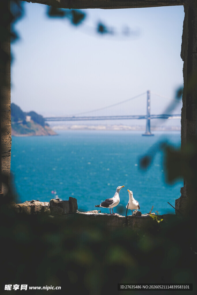 海边骑行赏大桥美景