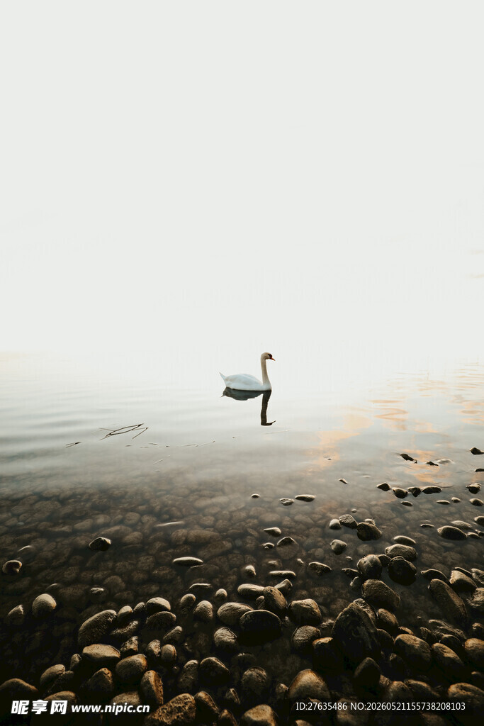 湖畔孤舟静谧自然之景