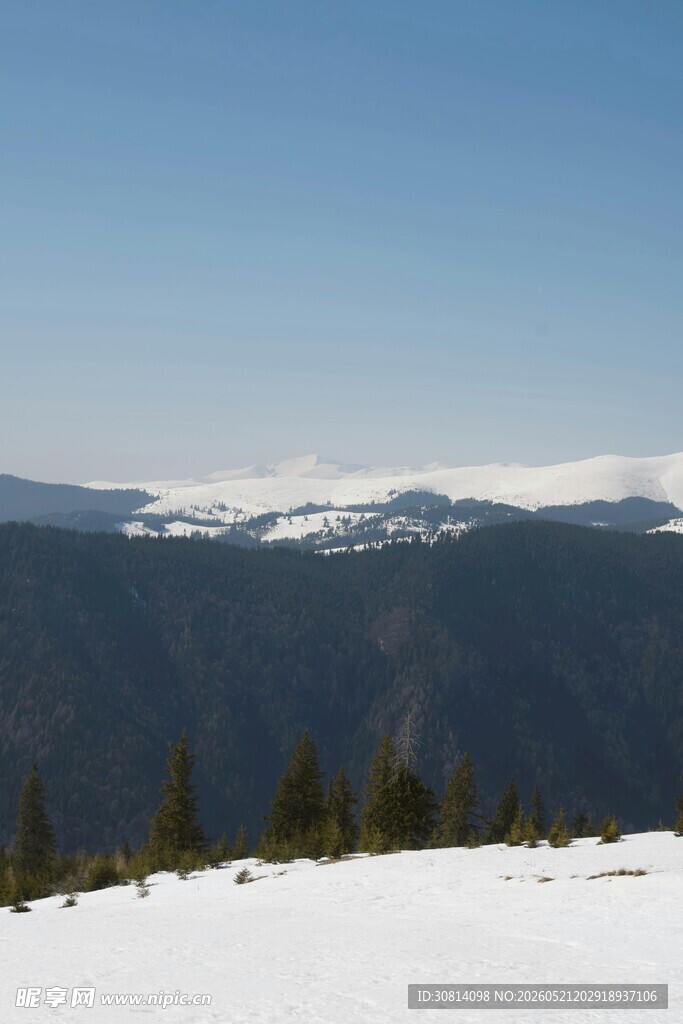 雪山与森林的壮美景观