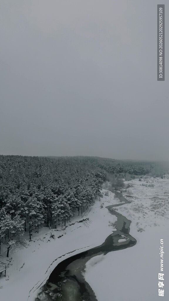 冬日雪覆河流与树林景观