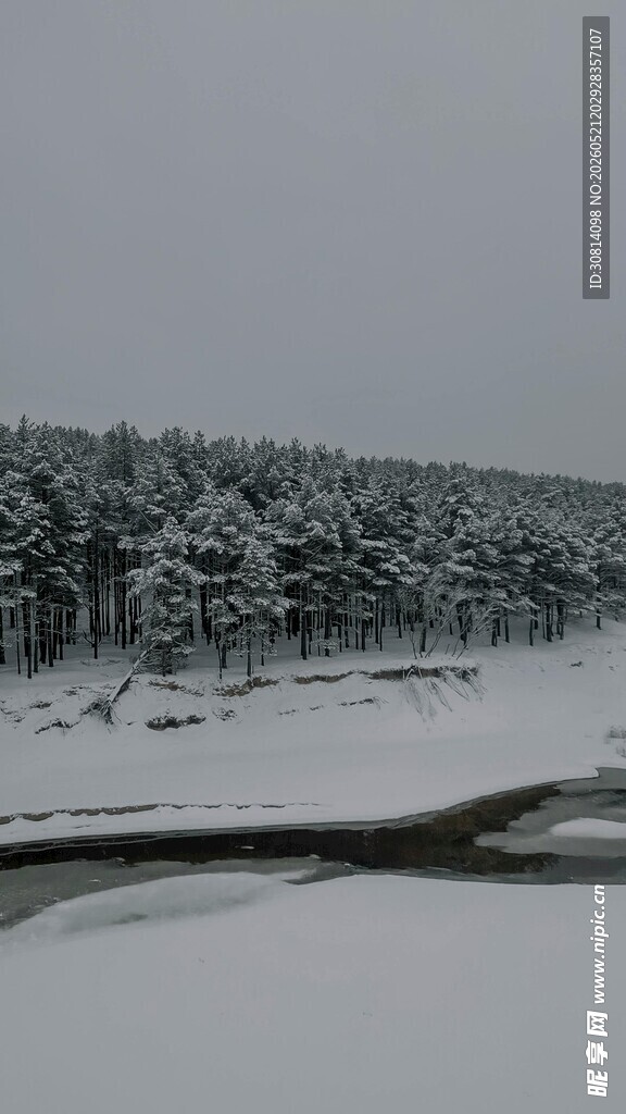 冬日雪覆森林河流景观