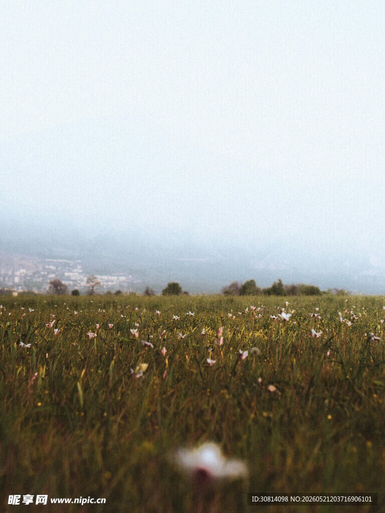 草原远景