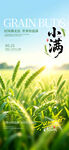 小满