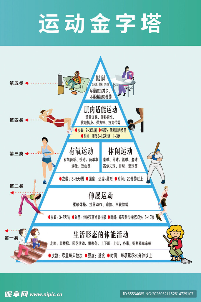 运动金字塔展板