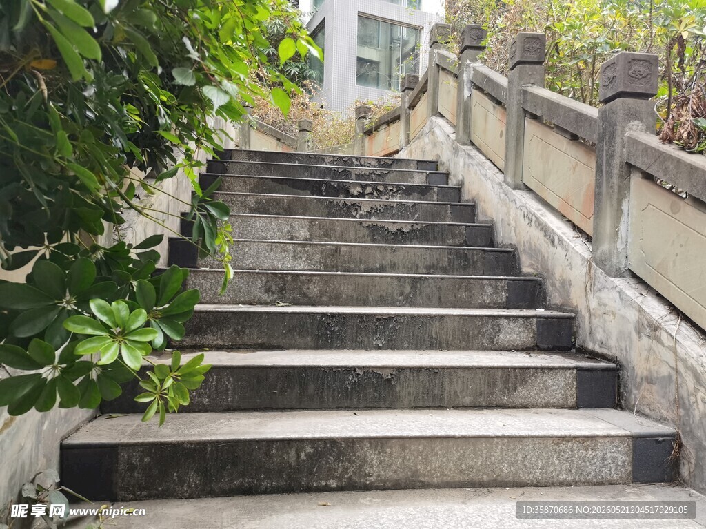 石砌阶梯旁绿植相伴