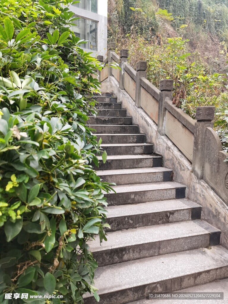 石梯旁绿植环绕的景致