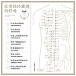 人体背部经络疏通示意图
