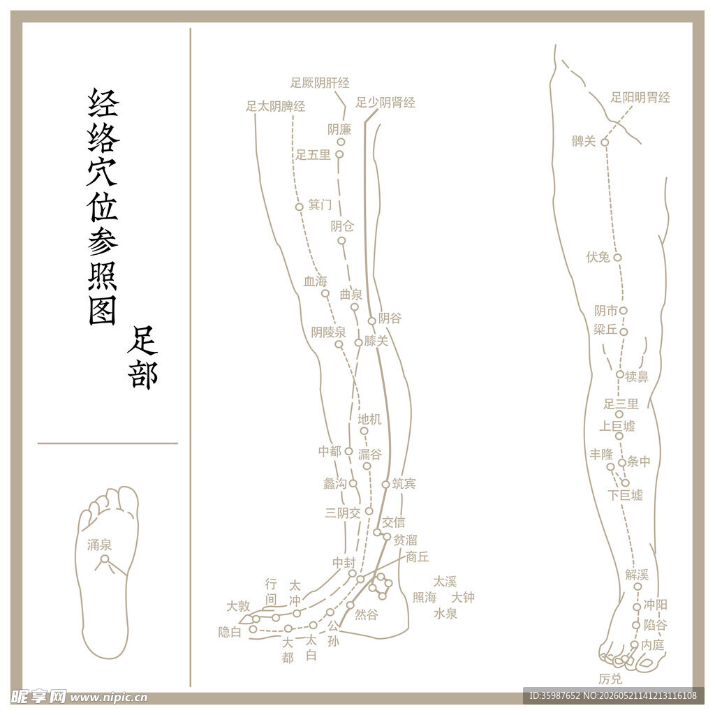 足部经络穴位示意图