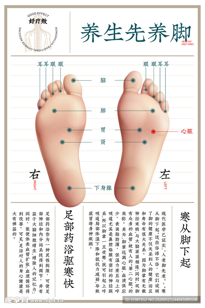 养生先养脚穴位示意图