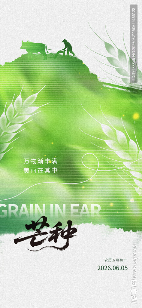 芒种海报