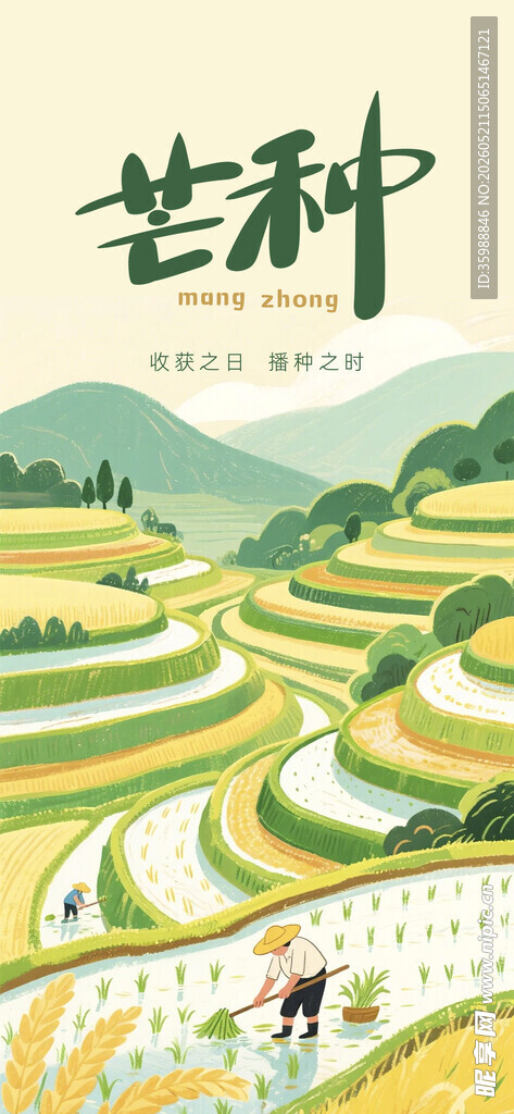 芒种海报