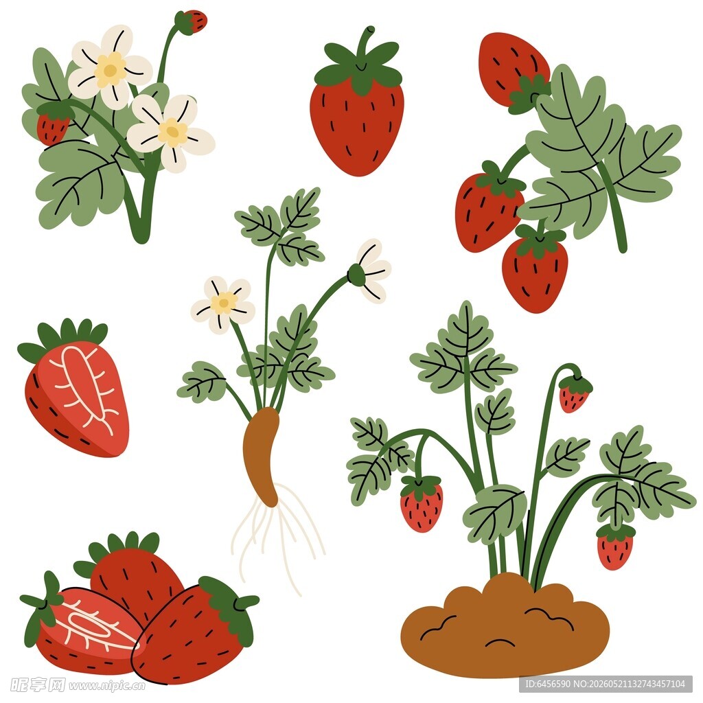 草莓插画素材