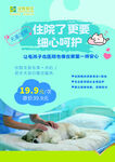 宠物手术康复贴心护理服务