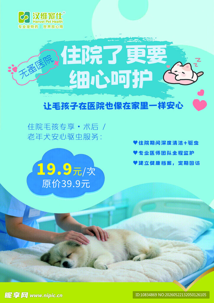 宠物手术康复贴心护理服务