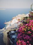 圣托里尼浪漫海景花卉