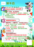 鲜牛奶促销活动宣传海报
