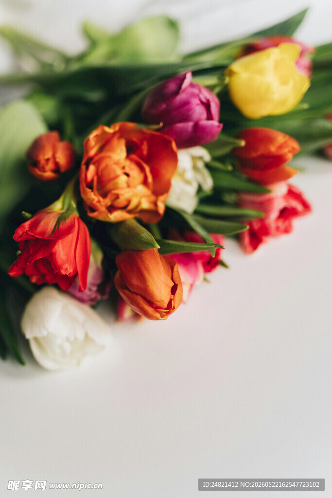 多彩郁金香花束