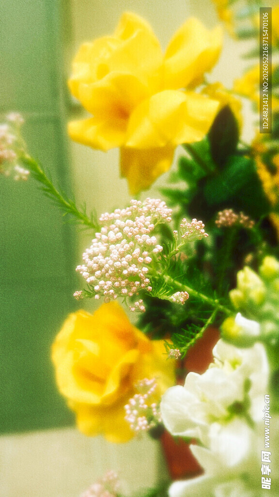 黄色花卉静物特写