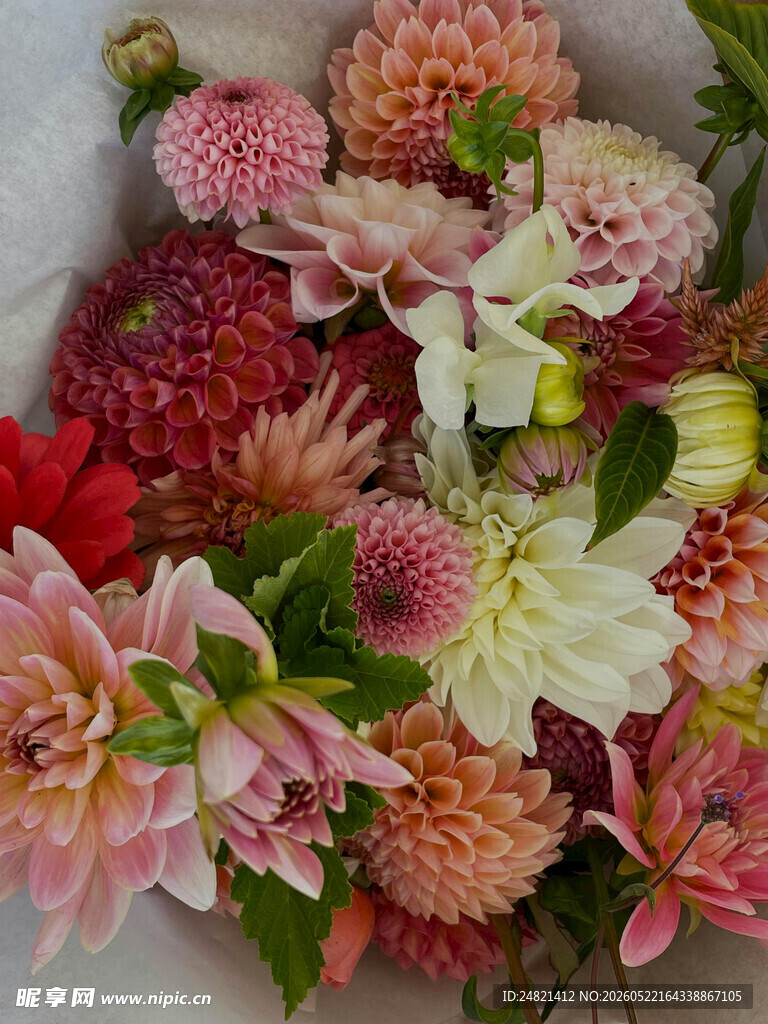 多彩艳丽的鲜花组合