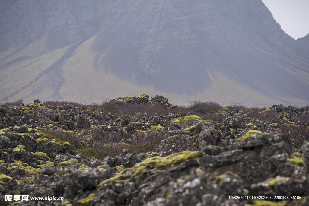 火山地貌的苔原景观