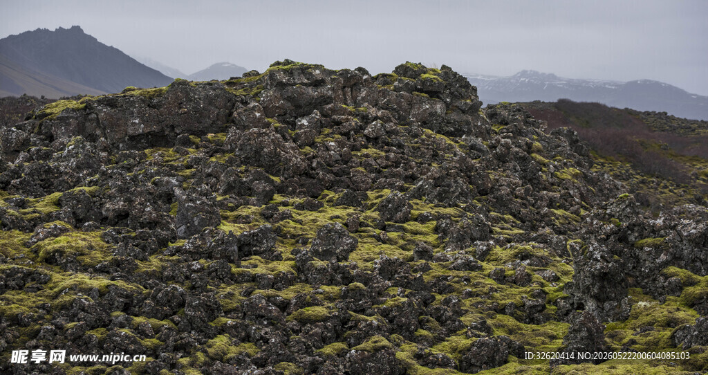 火山地貌上的绿色苔藓