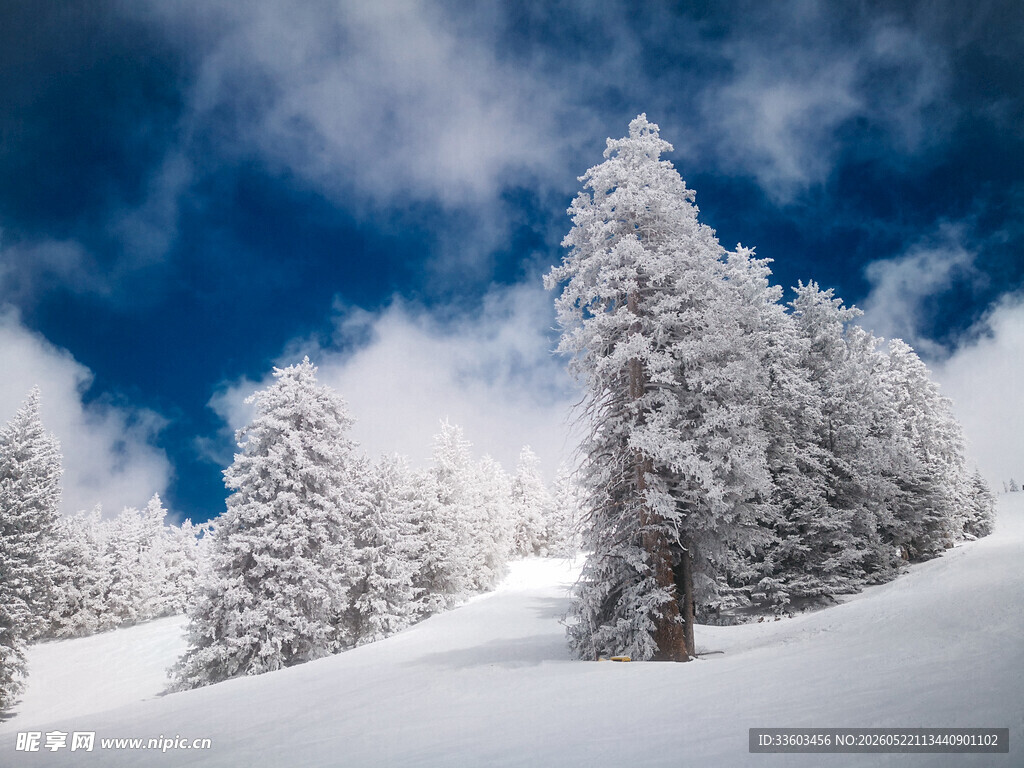雪覆山林的冬日美景